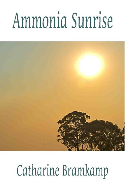 Ammonia Sunrise