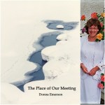 Emerson-Place-Meeting