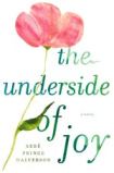 The Underside of Joy: A Novel. Sére Prince Halverson
