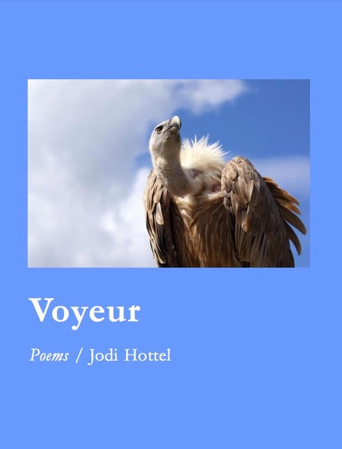 Voyeur Poems / Jodi Hottel