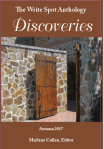 The Write Spot Anthology.DiscoveriesCover