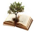 roots-book