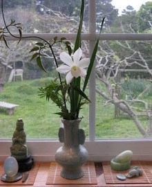 Joanne Kryger's kitchen window