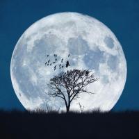 super moon
