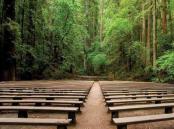 poetry_in_the_redwoods_600