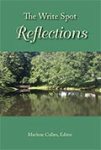 i-WriteSpot-Reflections
