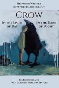 CROW: In the Light of Day, In the Dark of Night