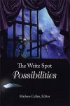 WriteSpot-Possibilities