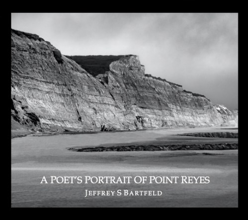A Poet’s Portrait of Point Reyes