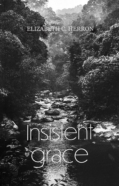 Insistent Grace by Elizabeth Herron